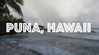 Tour of Puna Hawaii [upl. by Chellman]