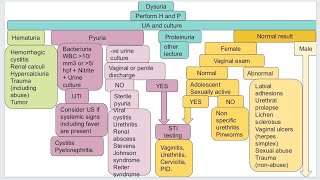 Dysuria in pediatrics [upl. by Welcome]