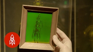 The LaserBased Science Behind 3D Holograms [upl. by Jarlen]