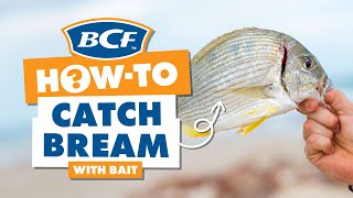 Catch Bream with Bait  BCF How To [upl. by Lladnik9]