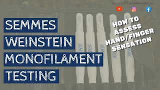 How to Administer the Semmes Weinstein Monofilament Test [upl. by Pirnot]