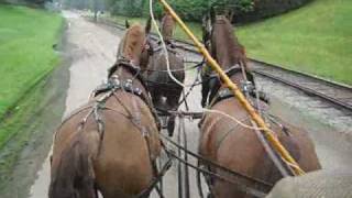 Driving Carriage Horses at Beamish Museum [upl. by Allevon]