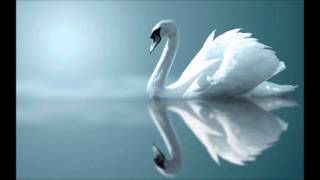 Sibelius The Swan of Tuonela [upl. by Urian]