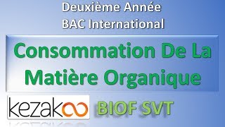 SVT 2 BAC International BIOF  Consommation De La Matière Organique Notions Elementaires [upl. by Jerri]