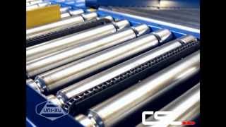 Standard Chain Transfer Roller Conveyor  Conveyor Systems Ltd [upl. by Haisoj]