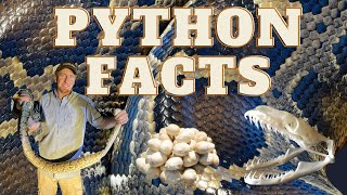 Quick facts Burmese python Floridas largest snake [upl. by Reivazx]