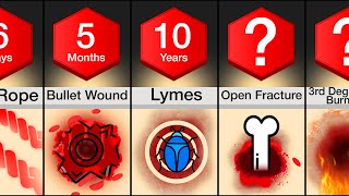 Comparison Fastest Healing Wounds Part 2 [upl. by Severn885]