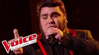 Francis Cabrel – La Corrida  Yoann Launay  The Voice France 2015  Prime 2 [upl. by Moyer586]