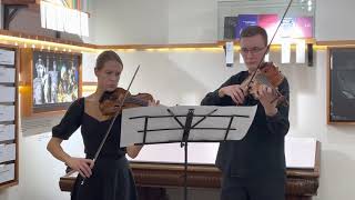 Passacaglia HandelHalvorsen for violin and viola [upl. by Assilim]