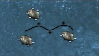 WSO Water Treatment Grade 1 Coagulation amp Flocculation Ch 8 [upl. by Sesilu242]