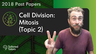 Cell Division Mitosis Topic 2  ALevel Biology Tutorial [upl. by Harald]