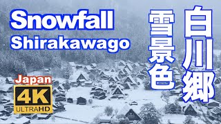 4K Snowfal of Shirakawago 白川郷の雪景色 2021 観光 日本の原風景 冬景色 降雪 Japan winter Snow scene 豪雪 観光 旅行 [upl. by Dorcia]