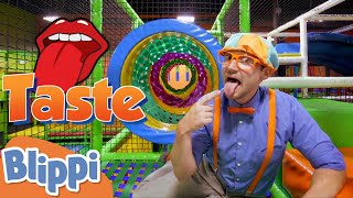 Blippi Learns The 5 Senses  Educational Videos for Toddlers [upl. by Kcirad751]