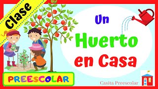 UN HUERTO EN CASA Aprendeencasa PREESCOLAR [upl. by Orazio]