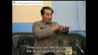 Zhineng Qigong  Dr Pang Chen Qi Exercise English Subtitles [upl. by Nandor]