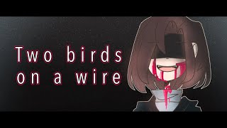 two birds on a wire animatic meme OC backstory  blood warning ⚠️ [upl. by Peppy]