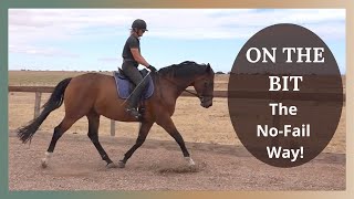 Dressage Training  Getting Your Horse Forward And On The Bit [upl. by Sissie]