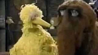 Sesame Street  Episode 1706 street scenes 23 [upl. by Esej]