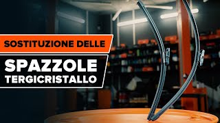 Come sostituire le spazzole tergicristalli TUTORIAL AUTODOC [upl. by Atinahs]