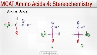 Amino Acid Stereochemistry R and S vs D and L Configuration [upl. by Trude]