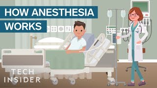 How Anesthesia Affects Your Brain And Body [upl. by Saimerej]