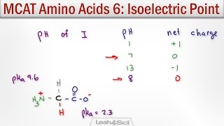 Isoelectric Point of Amino Acids with MCAT Shortcut [upl. by Salman]