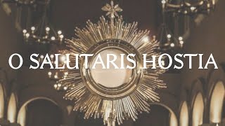 O Salutaris Hostia  Catholic Latin Hymn [upl. by Enialb867]