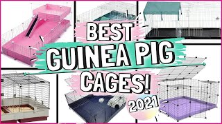 The 6 BEST Indoor Guinea Pig Cages [upl. by Wight]