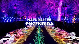 Naturaleza Encendida ORIGEN [upl. by Robyn60]