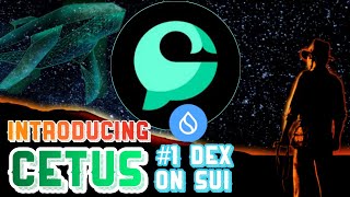 how to YIELD FARM on CETUS  complete protocol walkthrough [upl. by Askari]