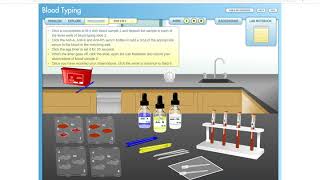 Virtual Blood Typing Lab [upl. by Newg]