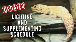 Leopard Gecko Lighting amp Supplements  WHAT I DO amp USE  UPDATED [upl. by Noakes]