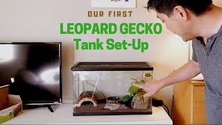 Our first LEOPARD GECKO TANK SETUP [upl. by Oznerol]