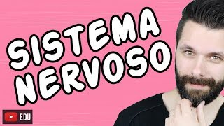 SISTEMA NERVOSO  FISIOLOGIA  Aula  Biologia com Samuel Cunha [upl. by Aleece]