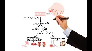 Pharmacology  NSAIDs amp PROSTAGLANDIN ANALOGS MADE EASY [upl. by Nirtiac903]