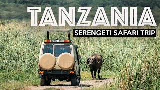 TANZANIA SAFARI  Exploring The Serengeti [upl. by Konstanze]