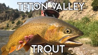 Teton Valley Trout  Ultimate Idaho Fly Fishing [upl. by Nikita960]