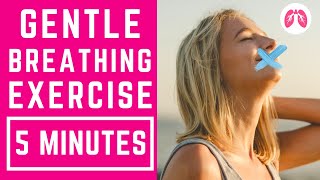 Buteyko Inspired Breathing Exercises  5 Minutes  TAKE A DEEP BREATH [upl. by Marr]