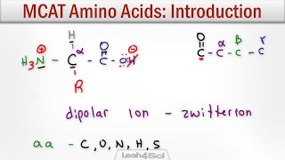 Amino Acids Intro to Structure Charge Classification and Reactions [upl. by Raimes]