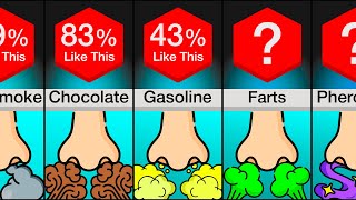 Comparison Favorite Smells [upl. by Dekow]