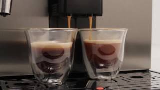 Gaggia Brera Quick Start Guide [upl. by Crispa80]