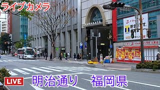 ライブカメラ 明治通り 福岡県 Live camera Meijidori Fukuoka Prefecture [upl. by Ahtikal]