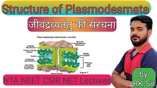 Structure of plasmodesmata in hindi  Structure of plasmodesmata  Neet biology  csir net life [upl. by Naomi]