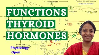 Functions of thyroid hormones  Endocrine system Physiology mbbs 1st year lectures [upl. by Hum]