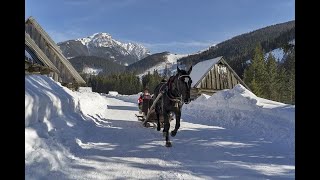 Zakopane sleigh ride in the Tatra National Park [upl. by Vera]