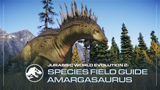 Species Field Guide  Amargasaurus  Jurassic World Evolution 2 [upl. by Amary]