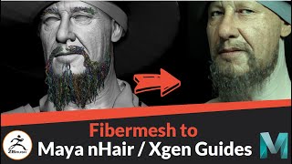 Zbrush Fibermesh to Maya NhairXgen Guides [upl. by Nahshu309]