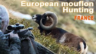 European mouflon Hunting in France  Chasse au Mouflon en France  2020 [upl. by Jobina]