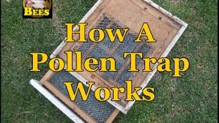 How A Pollen Trap Works Bee Pollen [upl. by Lyrac]