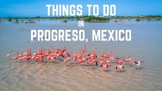 Things to do in Progreso Yucatan Mexico [upl. by Mail]